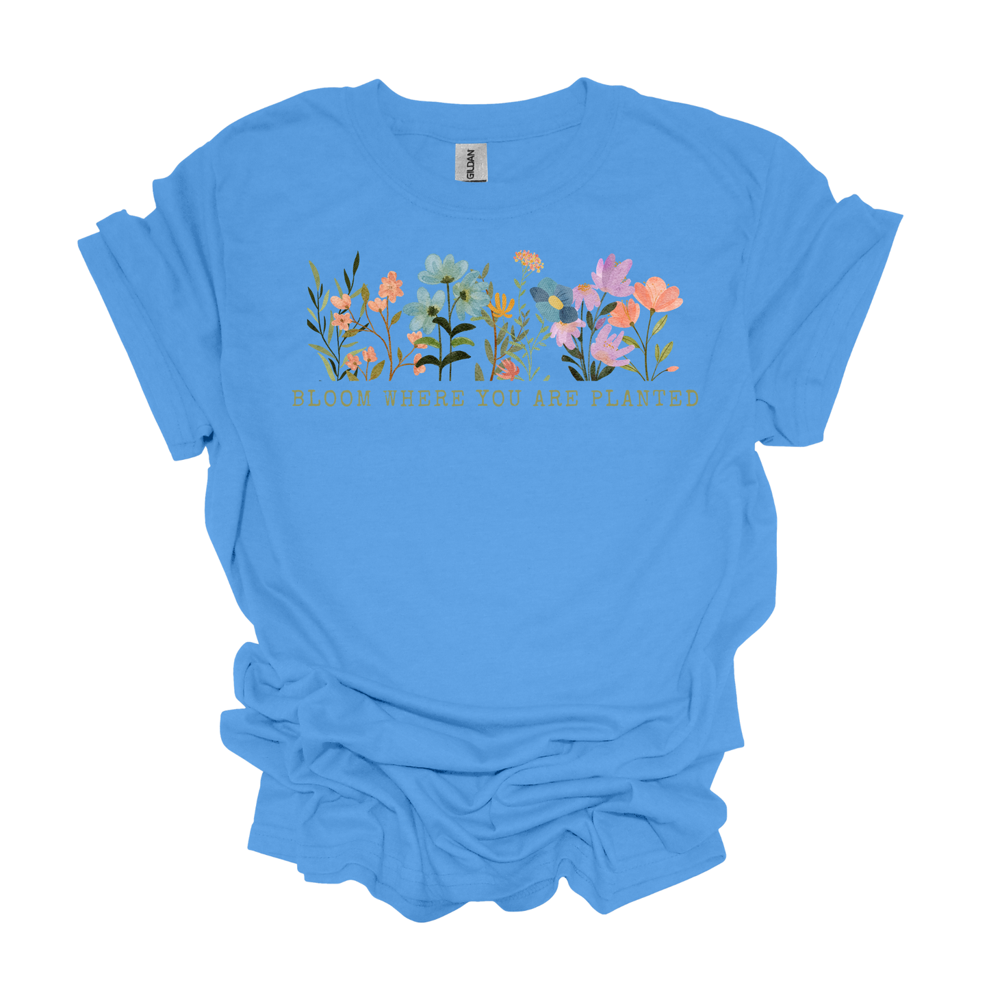 Bloom Where You Are Planted